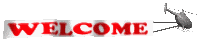 6w4.gif (11072 bytes)